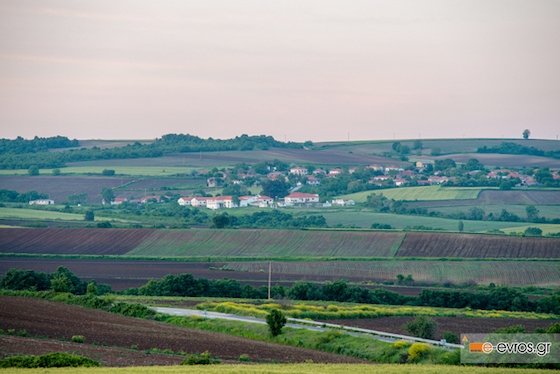 Ξέρετε πολλούς που θα έπαιρναν μια τέτοια απόφαση; 