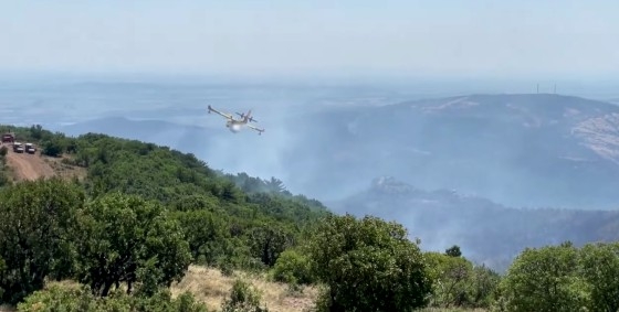 Σε ύφεση η φωτιά στο Εθνικό Πάρκο Δαδιάς
