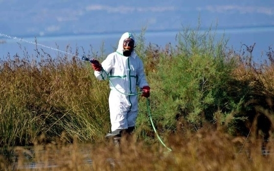 Περιφερειακή Σύνθεση: «Τα κουνούπια βασανίζουν τους πολίτες και ο Περιφερειάρχης κάνει... δηλώσεις»