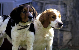 Πέρα από τη συναισθηματική απώλεια, υπάρχει και η οικονομική ζημιά.