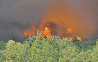 Την έντονη ανησυχία τους εκφράζουν φορείς του Έβρου για τον αυξημένο κίνδυνο πυρκαγιών το φετινό καλοκαίρι.