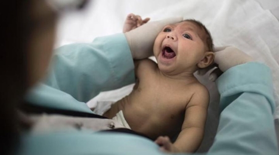 Παγκόσμιος Οργανισμός Υγείας: Κίνδυνος και σε Ελλάδα λόγω Ζίκα, μια από τις περιοχές δίπλα στον Έβρο!