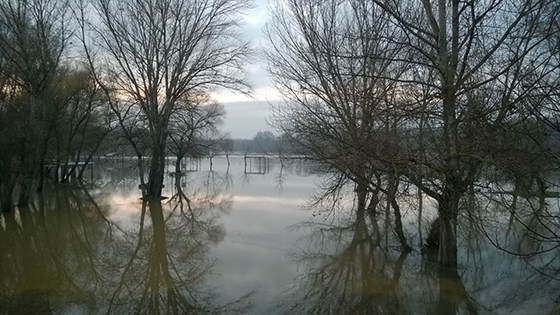 Σύσκεψη των Φορέων του Έβρου το Σ/Κ για τις αποζημιώσεις των πλημμυρών του 2014