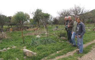 Διαπιστώθηκε ότι υπάρχει ντόπια φυλή προβάτου στο νησί με δυνατότητες πιστοποίησής της ως αυτόχθονης φυλής ζώων.