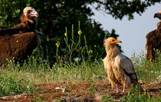 Πρόσληψη με σύμβαση εργασίας ιδιωτικού δικαίου ορισμένου χρόνου.