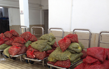 77 σάκοι οστράκων ακατάλληλων για ανθρώπινη κατανάλωση.