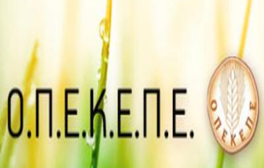 Στόχος η ενίσχυση της αποτελεσματικότητας και των δύο Οργανισμών.