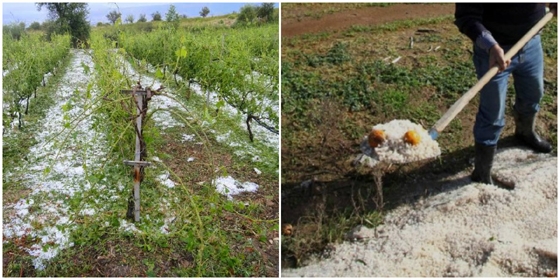 Ευθύνες στον ΕΛΓΑ επιρρίπτει η Τ.Ο. ΚΚΕ της Ορεστιάδας για τις "ανύπαρκτες εκτιμήσεις" λόγω απεργίας
