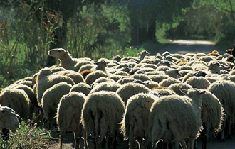 Αποφασίστηκε κατά τη διάρκεια σύσκεψης που πραγματοποιήθηκε,