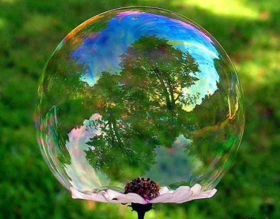 Η Διεθνής Ημέρα της Γης καθιερώθηκε για πρώτη φορά την 20η Μαρτίου 