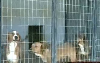 Στο αυξημένο ενδιαφέρον που παρατηρείται συμβάλλει και το διαδίκτυο.