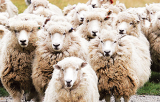 Προληπτικούς ελέγχους όχι μόνο στον Έβρο, αλλά και στις υπόλοιπες περιφερειακές ενότητες της Περιφέρειας.