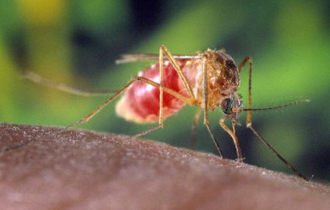 Εντός ημερών αναμένεται η υπογραφή της σχετικής σύμβασης, εφόσον παρέλθει η περίοδος κατάθεσης των αντιρρήσεων.