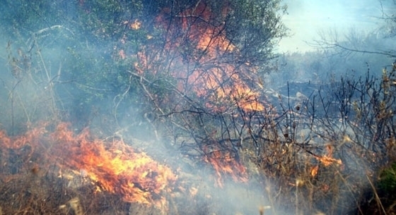 Πυρκαγιά ξέσπασε στα Λουτρά, Αλεξανδρούπολης