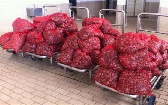 Κατάσχεση 1.330 κιλών ακατάλληλων οστράκων στην Αλεξανδρούπολη