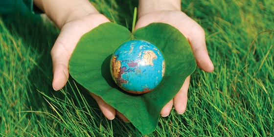 Μια οικολογικά προσανατολισμένη παιδεία θα δώσει πιθανόν λύσεις στα περιβαλλοντικά ζητήματα με την ανάπτυξη οικολογικής σκέψης και τη δημιουργία οικολογικής συνείδησης