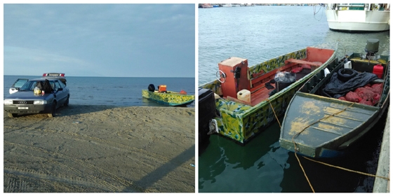 Αλεξ/πολη: Κατασχέθηκαν όστρακα ακατάλληλα για ανθρώπινη κατανάλωση.