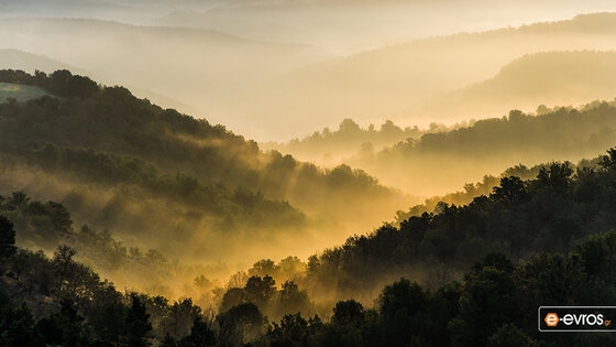 Χωρίς το απαραίτητο προσωπικό και χωρίς τις κατάλληλες πιστώσεις λειτουργούν τα δασαρχεία του Διδυμοτείχου, Σουφλίου και της Αλεξανδρούπολης.