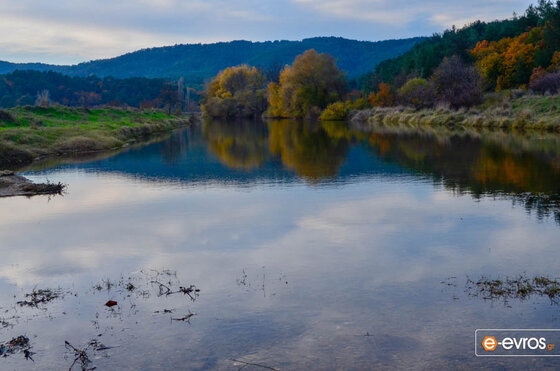 Ώρα για "ηλεκτρονική ξενάγηση" στο δάσος της Δαδιάς!