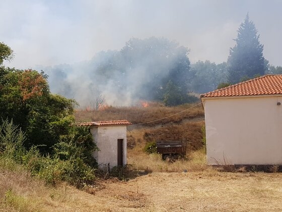 Εχτές το πρωί ξέσπασε φωτιά στα Λαγυνά του δήμου Σουφλίου.