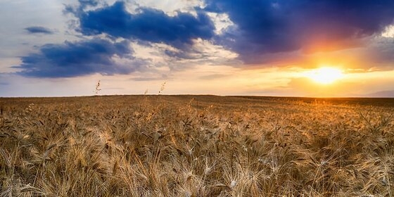 Η Ένωση Αγροτικών Συνεταιρισμών Διδυμοτείχου Έβρου έβγαλε νέα ανακοίνωση.
