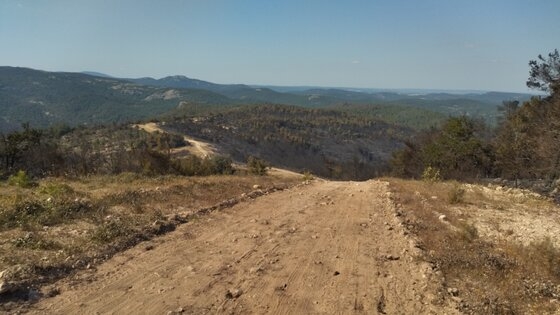 Αυτά είναι τα αποτελέσματα από την πρόσφατη πυρκαγιά στην περιοχή της Λευκίμης στα νότια του Εθνικού Πάρκου Δάσους Δαδιάς.