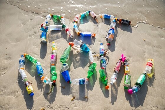 Καμπάνια παράκτιων καθαρισμών στο Εθνικό Πάρκο Δέλτα Έβρου  στο πλαίσιο του έργου «Ανάπτυξη οικολογικής συνείδησης για να σταματήσει η ρύπανση στους πολύτιμους υγροτόπους της λεκάνης απορροής της Μαύρ