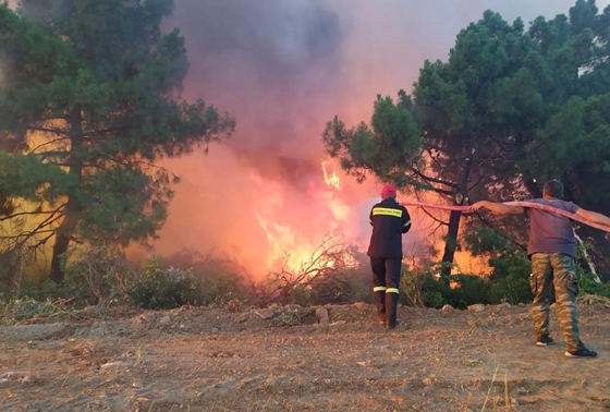 Αίσιο τέλος της πυρκαγιάς για τον οικισμό Ποντίων Σαπών - Σώθηκαν όλοι οι κάτοικοι