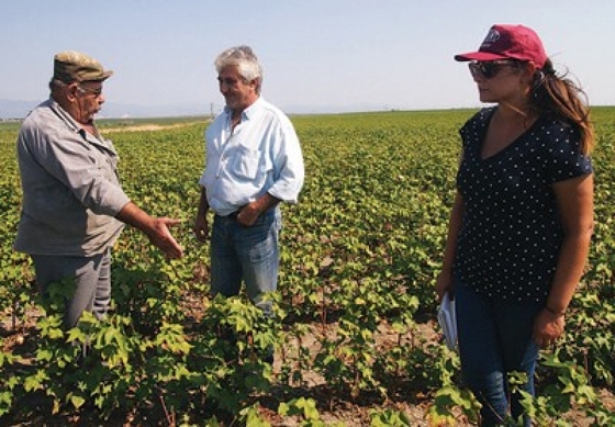 Από τη συνάντηση με Β. Αποστόλου την Πέμπτη, θα εξαρτηθεί η αποχή των εκτιμητών του ΕΛΓΑ