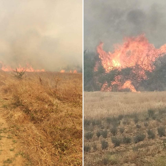 Φωτιά κατακαίει δασική έκταση στην Αισύμη (video)
