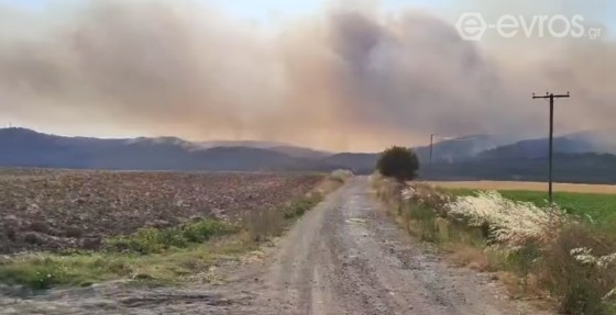 Έσβησε η φωτιά στη Δαδιά αλλά μαίνεται νέα στη Λευκίμμη (φωτο + video)